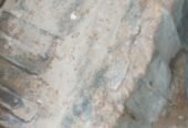 نيسان صني